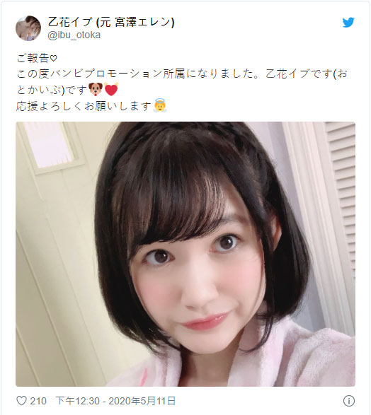 乙花イブ(乙花伊部,Otoka-Ibu)品番作品SYBI-008介绍及预览-八凡集