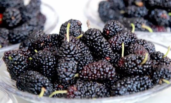 桑葚果酱的制作方法及技巧 桑葚果酱的保存方法-八凡集